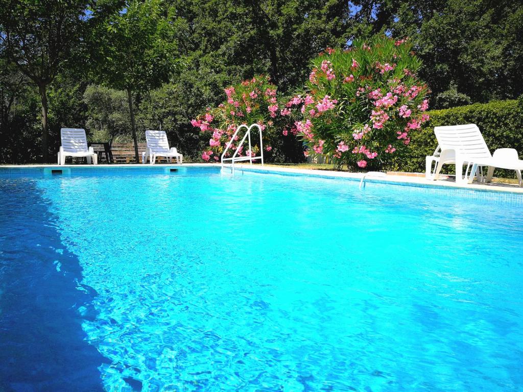 维勒克罗兹Au Bien Etre piscine的蓝色的游泳池,带两把椅子和鲜花