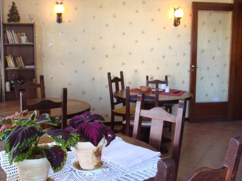 奇维尔科伊Falcone Hotel的用餐室配有2张桌子和椅子,种植了植物