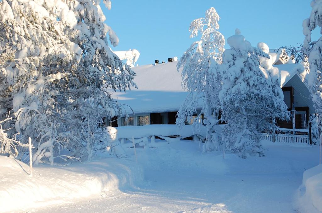 鲁卡RukaNeliö Cottage的一座房子,前面有树木,被雪覆盖着