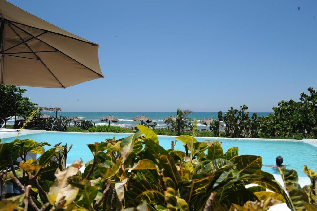Nautla伊斯迪里恩查酒店的享有带雨伞和植物的游泳池的景色