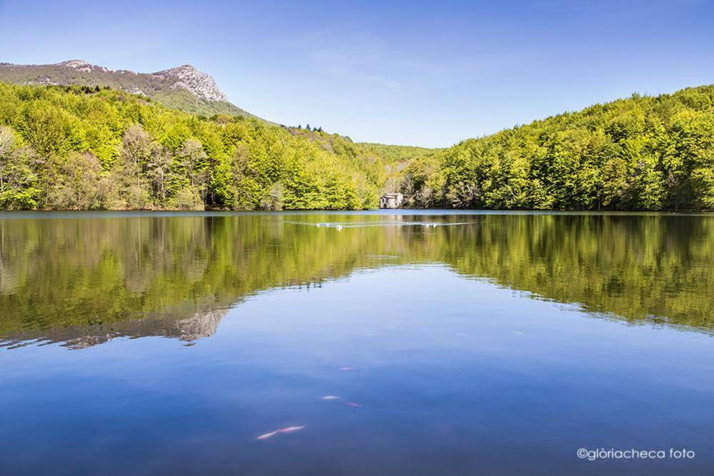 Santa Fe de MontsenyHostal l'Avet Blau的一大片水体,有树木和山脉