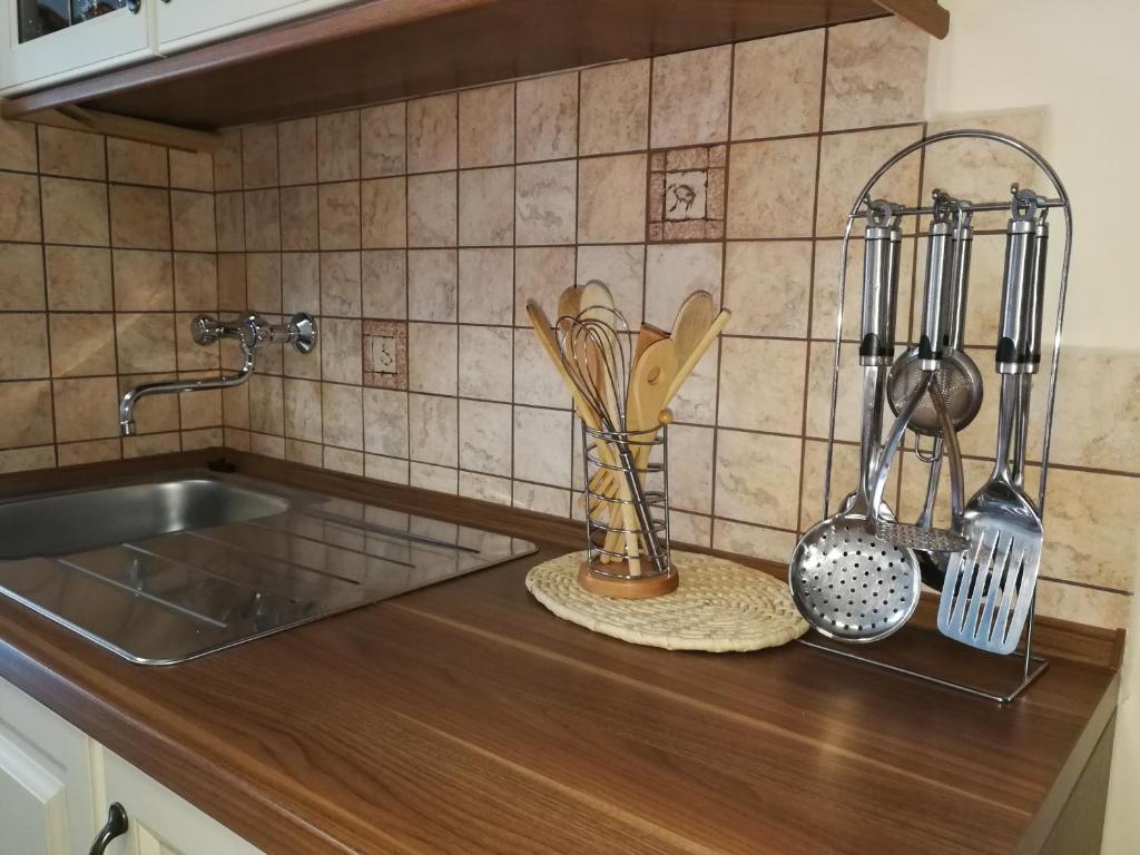 科巴里德Hiša Kranjc的厨房柜台配有水槽和一些餐具