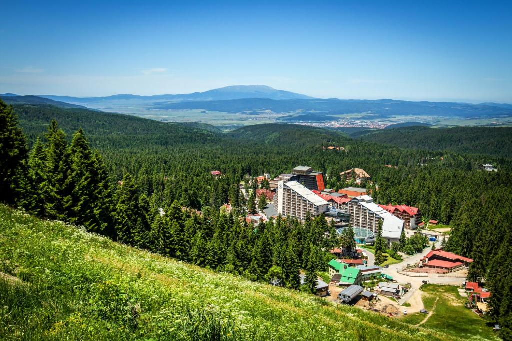 波罗维茨里拉博罗韦茨酒店的享有山中树木繁茂的度假胜地的景色