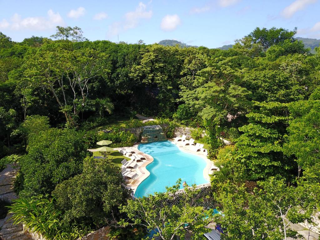 帕伦克Hotel La Aldea del Halach Huinic的森林中游泳池的顶部景色