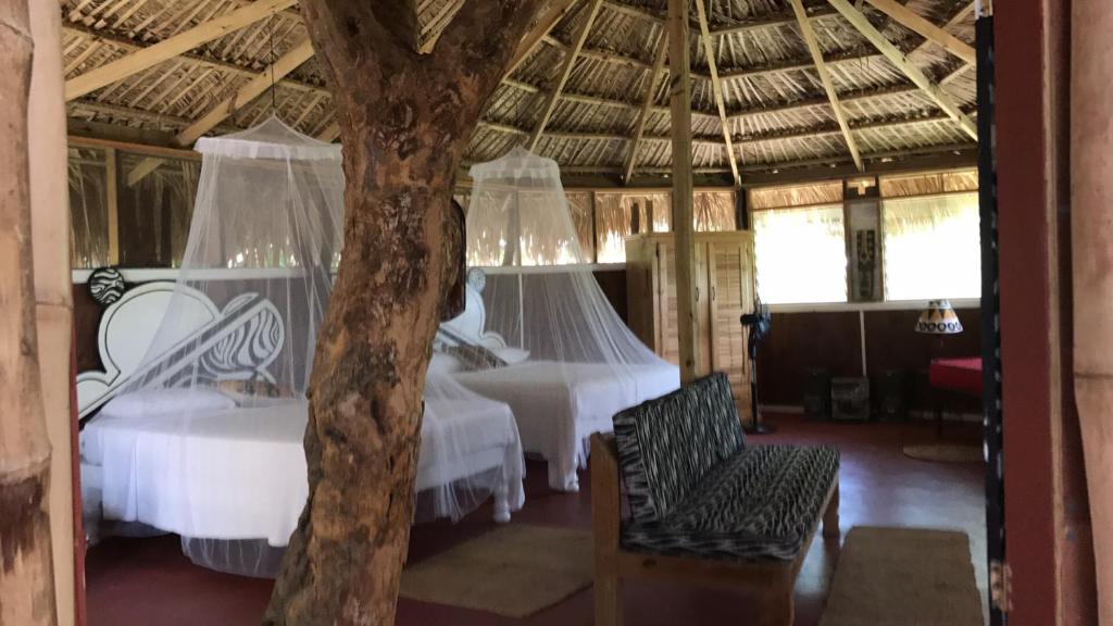 特雷热比奇Moringa Ingadi的一间带两张床的卧室和一棵树