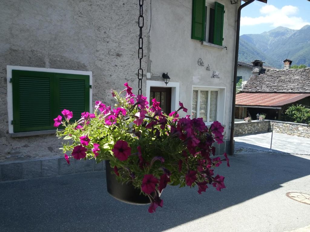 GordevioCà di Noni的挂在建筑物前的一盆花