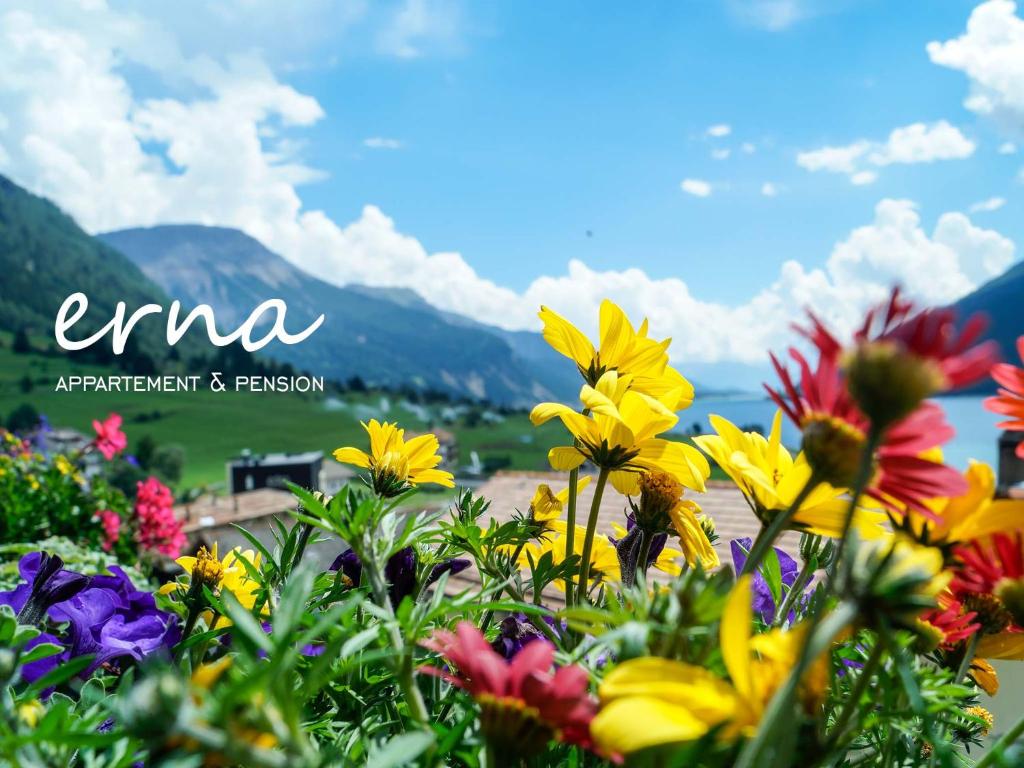 雷西亚Pension Apartment Erna的一块田野里一束五颜六色的花