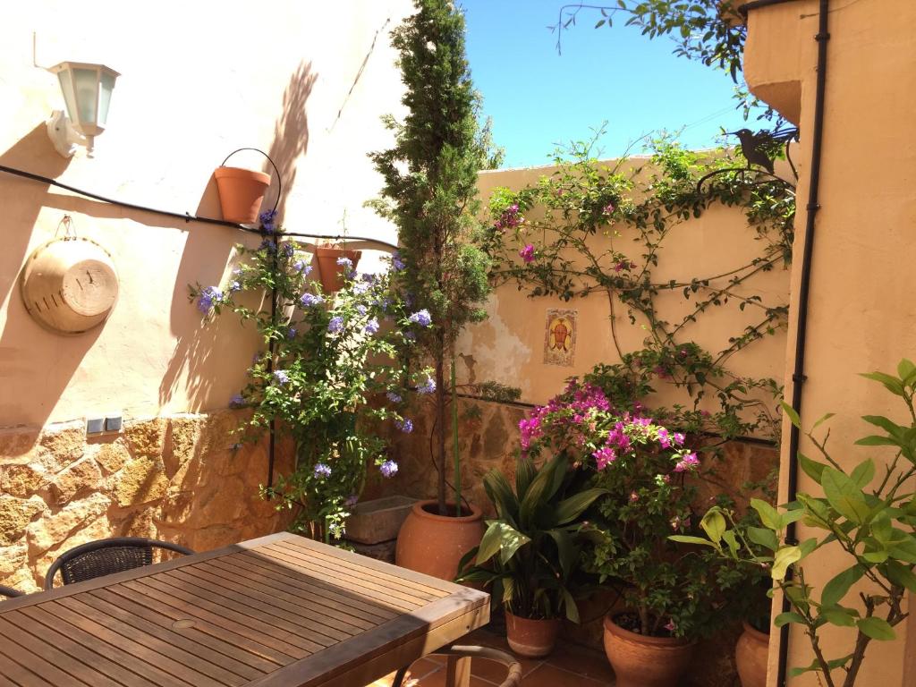 布索特La Xaquera的庭院里种植了盆栽植物,配有木桌