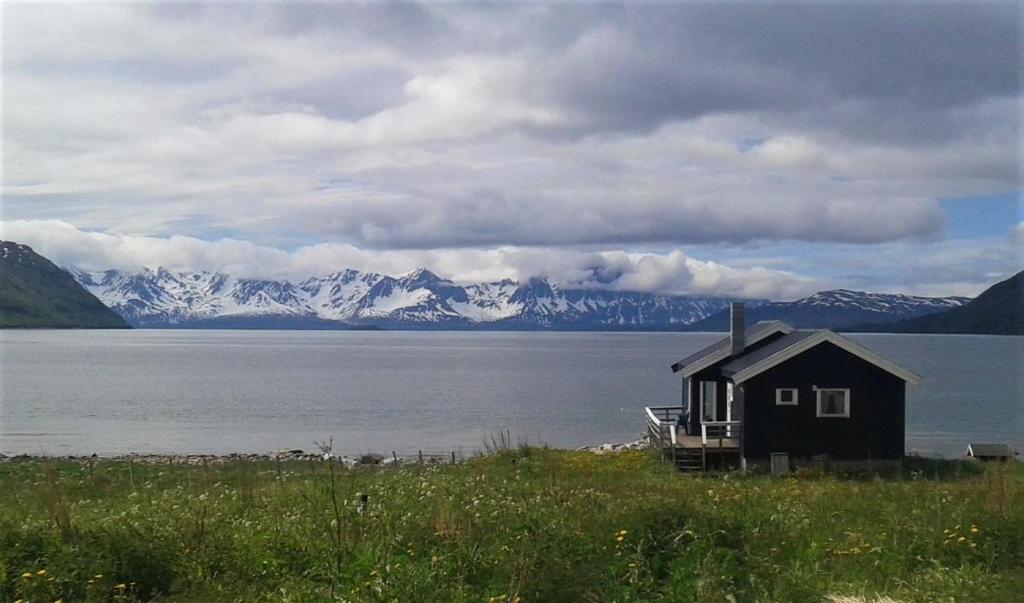 BurfjordArctic FjordCamp的湖岸上的房子,有积雪覆盖的山脉