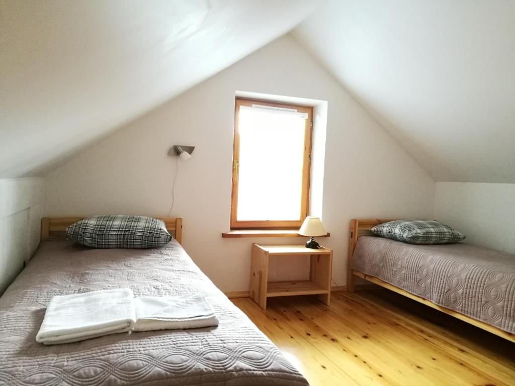 德鲁斯基宁凯Svečių namelis的阁楼卧室设有两张床和窗户。