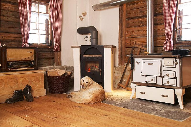 奥伯斯特多夫Hütte Almrausch的一只狗坐在炉子前的地板上