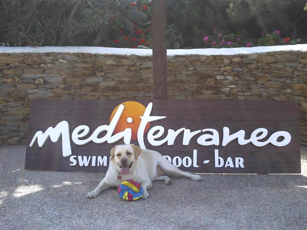 伊奥斯乔拉地中海酒店的一只狗坐在标牌前,有球