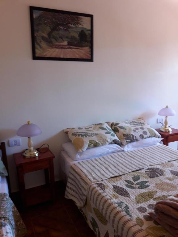 伊瓜苏港Apartamentos Centricos Puerto Iguazu的卧室配有一张床,墙上挂着一幅画