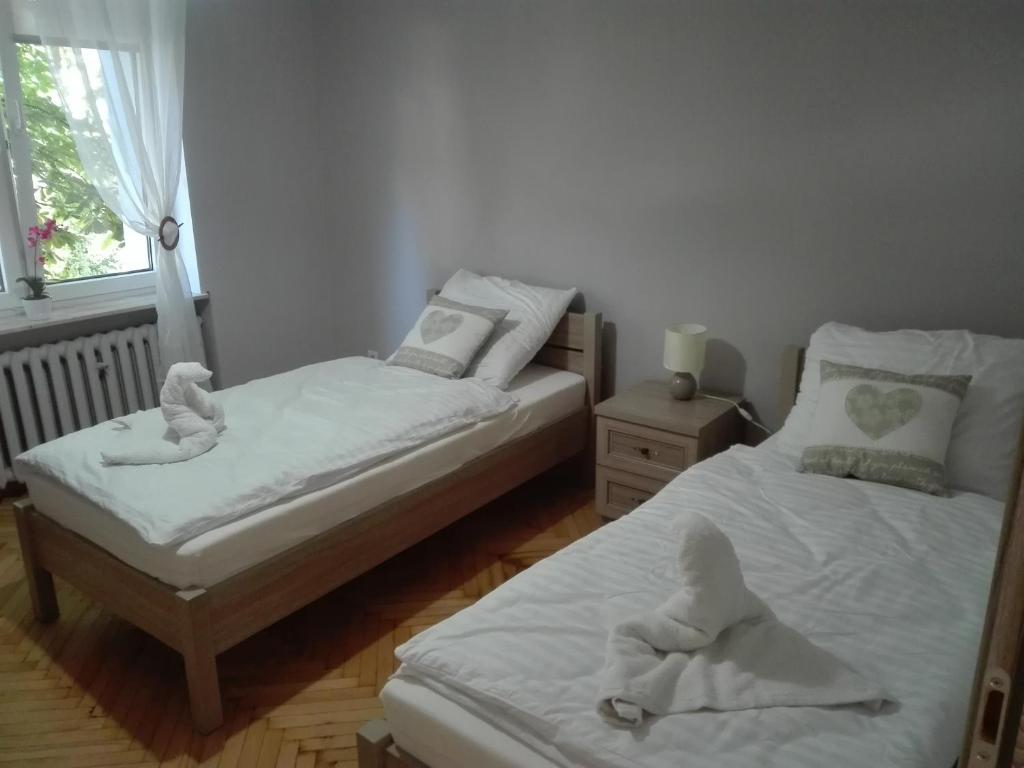 绿山城Hostel Grono的客房内的两张床和毛巾