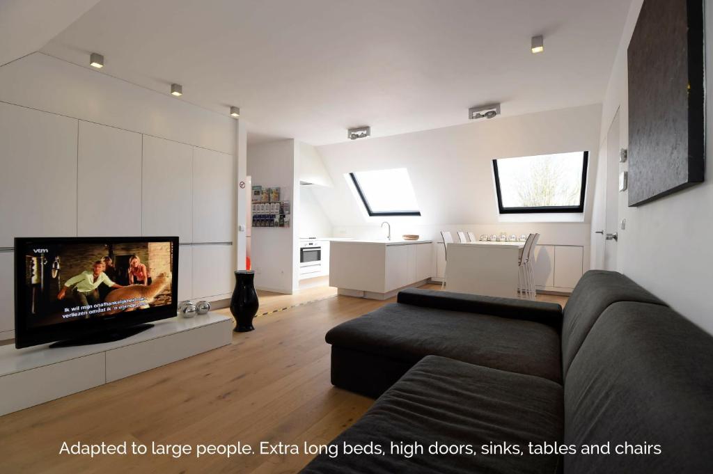 根特Stay in Ghent的带沙发和平面电视的客厅