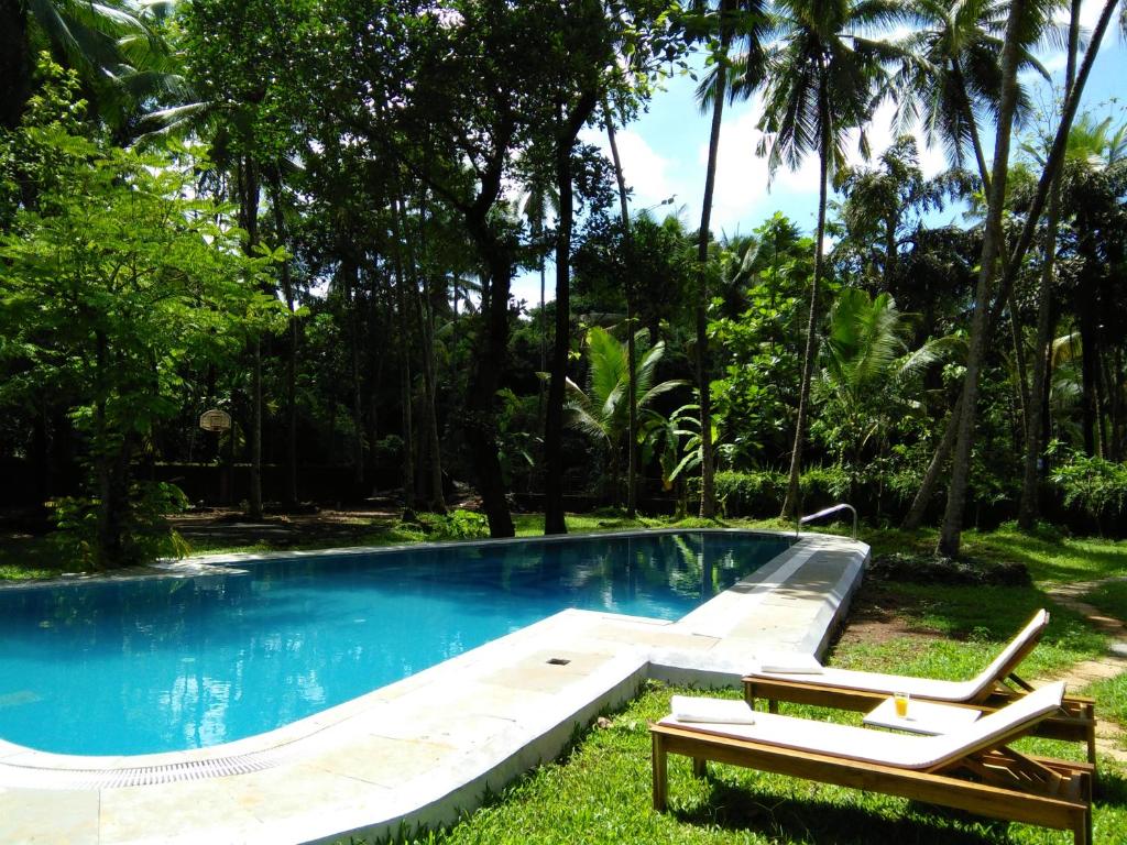 阿斯高Botanique Goa的游泳池旁设有2把躺椅