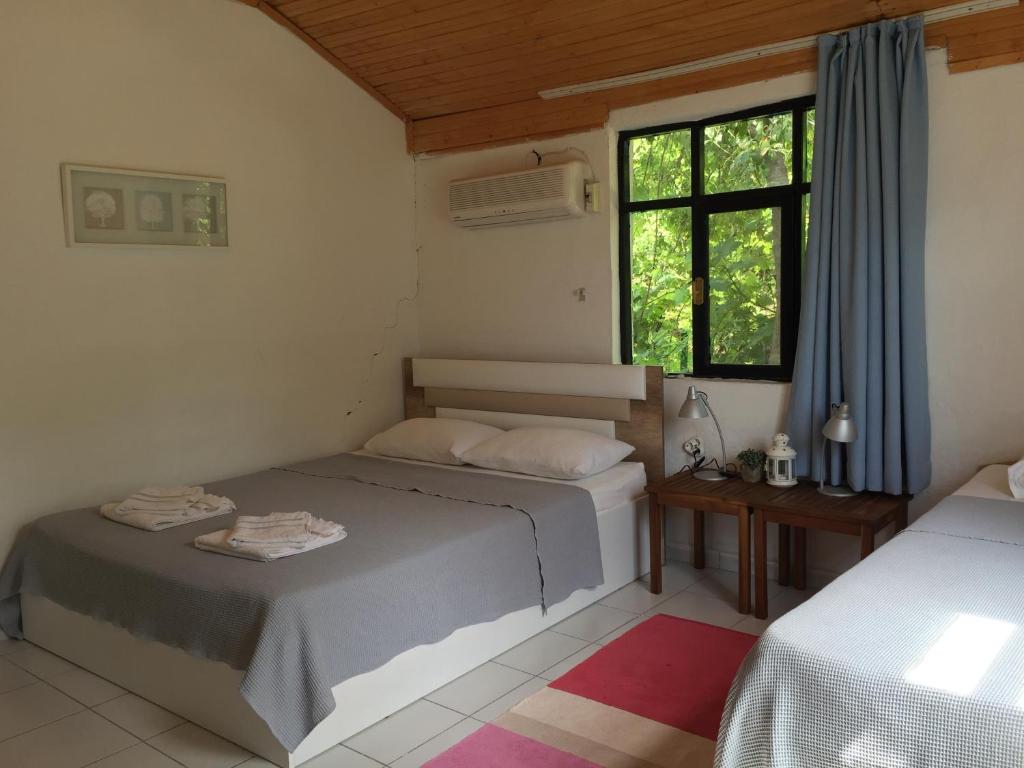 契拉勒Cirali Friends Pension&Camping的一间卧室设有两张床和窗户。