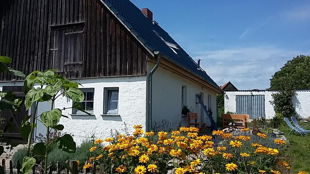 KemnitzZum Storchennest的前面有一束鲜花的房子