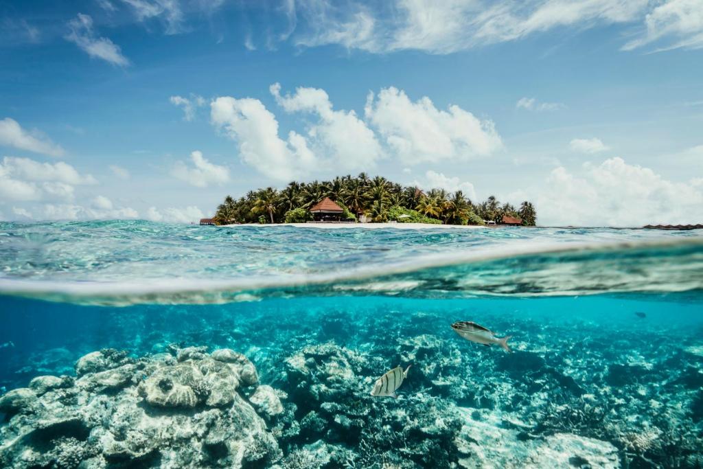 加弗阿利夫环礁ROBINSON MALDIVES - Adults only的珊瑚礁旁的海洋岛屿