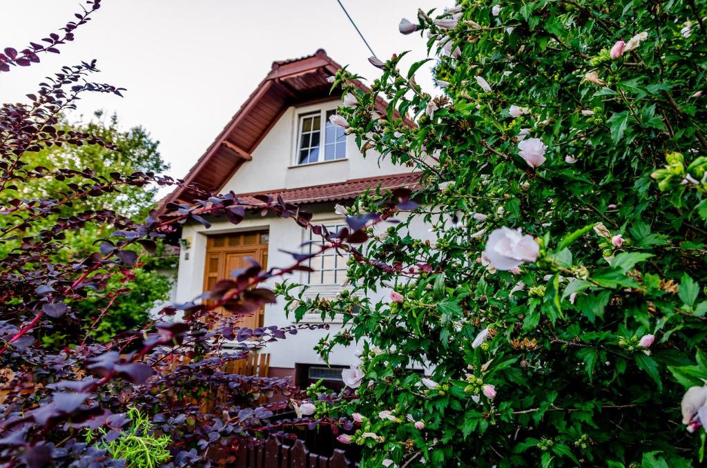 埃尔德Parkland Inn的树木和花朵遮蔽的白色房子
