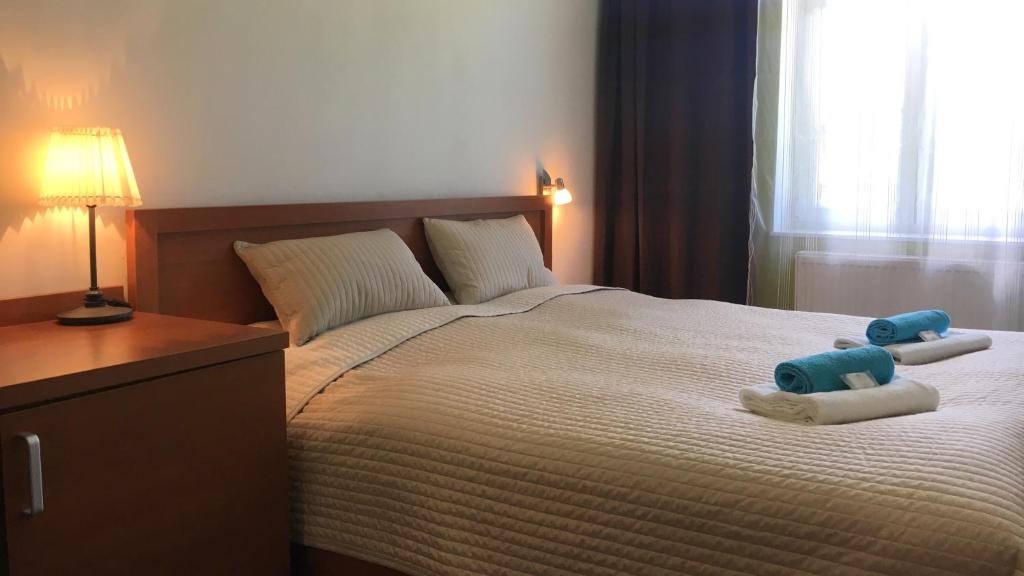卡罗维发利乡村膳食旅馆的卧室配有一张床铺,毛巾上放着两个动物