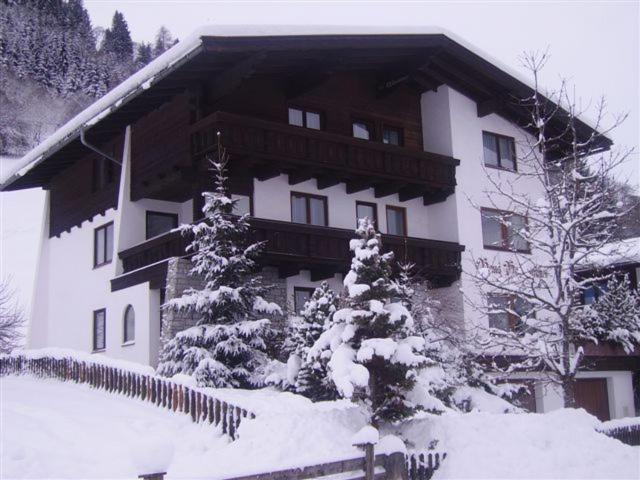 平茨高谷地霍勒尔斯巴赫霍奇维梅尔旅馆的一座大建筑前面有雪覆盖的树木
