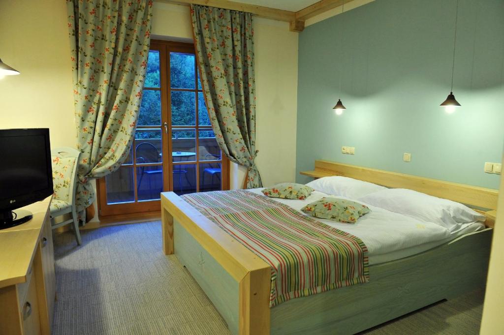 博德森特克阿蒙自然酒店的一间卧室设有一张床、一台电视和一个窗口。