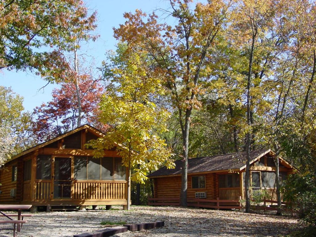 West SalemNeshonoc Lakeside Camping Resort的秋天树林里的小木屋