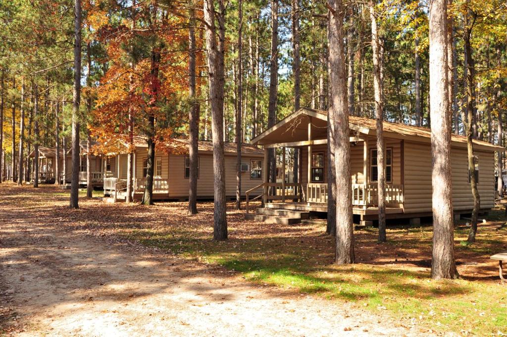 Lyndon StationYukon Trails Camping Resort的树林中的小屋,前面有一条土路