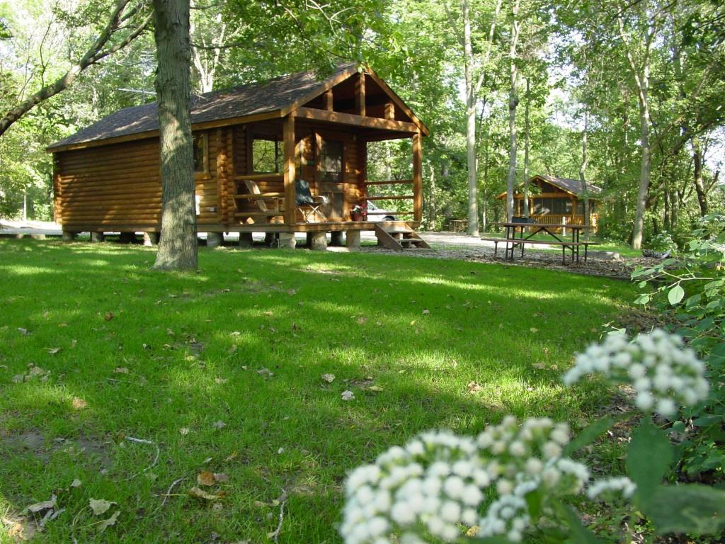 West SalemNeshonoc Lakeside Camping Resort的绿草丛中的木屋
