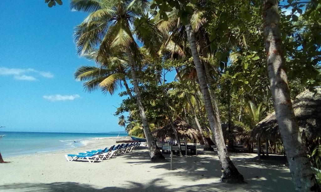 La YaguaPlaya Paraiso en Magante的海滩上,有椅子和棕榈树,还有大海