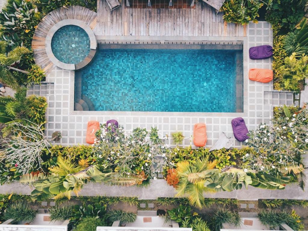 圣吉吉伊布鲁单酒店的享有种植了植物的游泳池的顶部景致