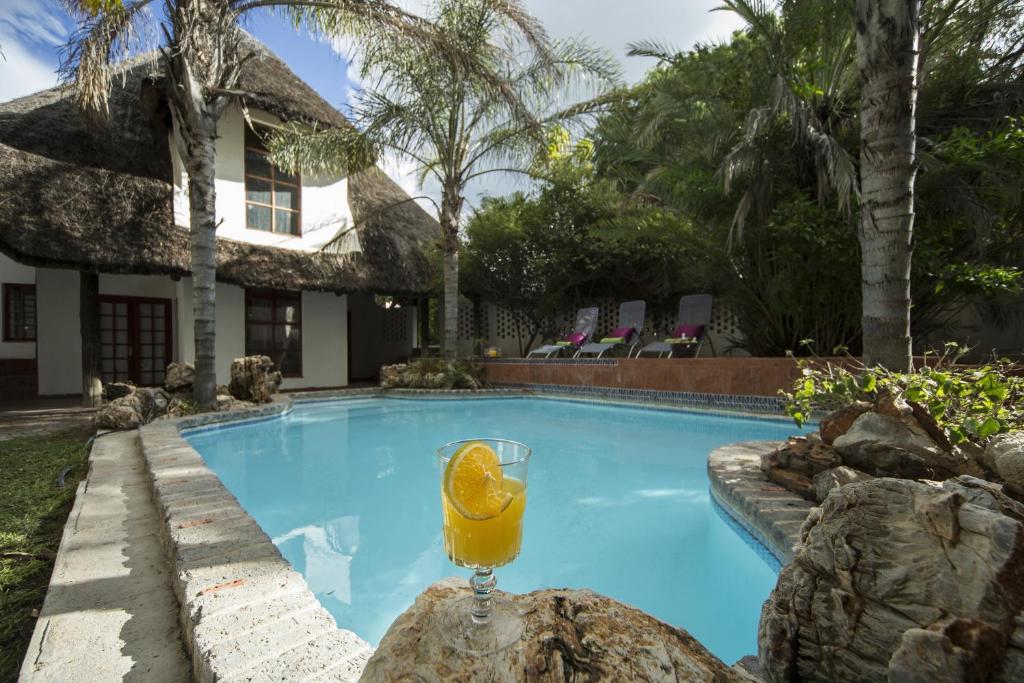 奥奇瓦龙戈Out of Africa Guesthouse的一杯橙汁坐在游泳池旁边的岩石上