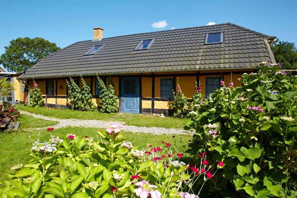 诺德堡莫勒盖德度假旅馆的院子里一束鲜花的房子