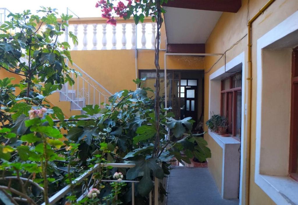 苏克雷Homestay Jorge, Sucre的一座植物繁茂的建筑的走廊