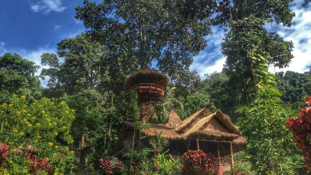 象岛象岛绿洲别墅酒店的树屋,上面有巢