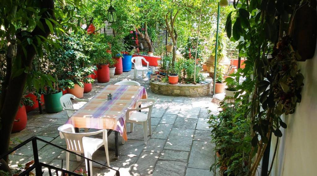 费索斯Garden of Edem的种植了盆栽植物的花园中的桌椅