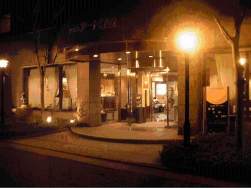 新泻站前艺术酒店的夜间建筑物前的街道灯