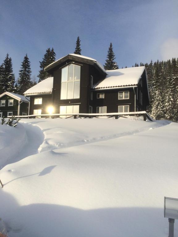奥勒埃德文斯瓦格8号别墅的雪中的房子,有雪覆盖的院子