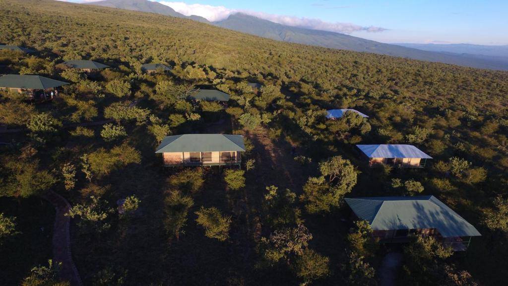 恩戈罗恩戈罗恩戈罗恩戈罗野营豪华帐篷的山丘上一群房子的空中景观