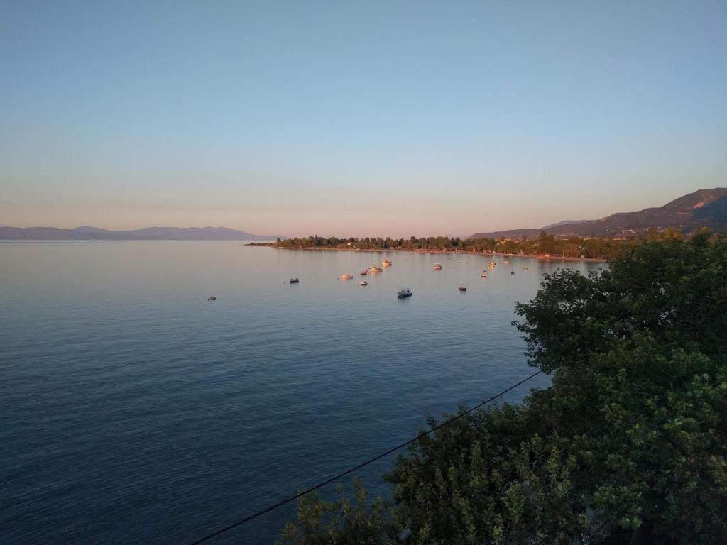 伊勒奥那斯Dimitropoulos Apartments的享有湖泊和水中船只的景色