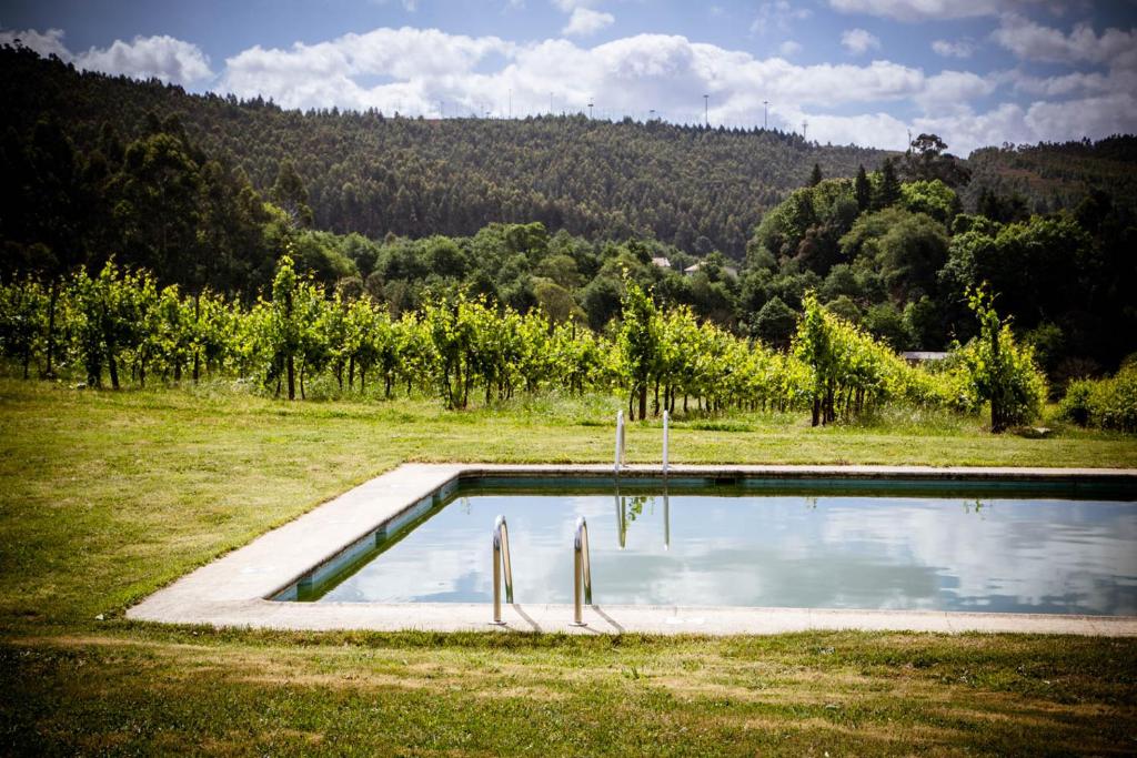 洛萨达奎塔劳罗萨乡村民宿的树木繁茂的田野中间的游泳池