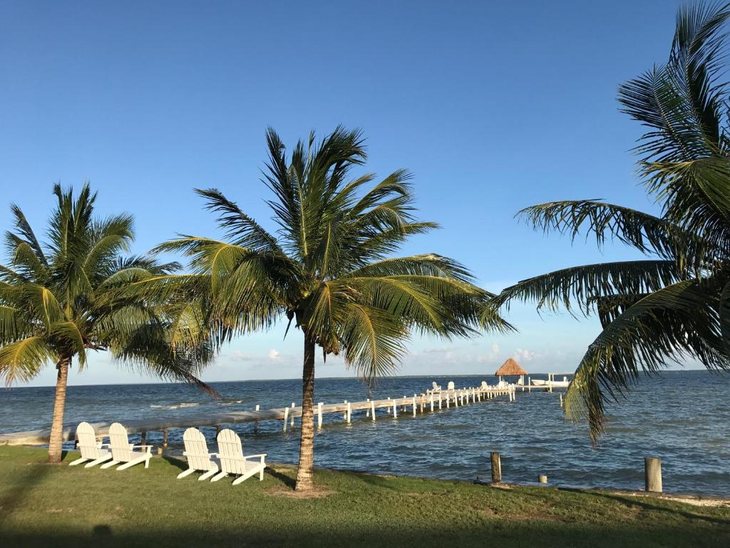 科罗萨尔Tilt-Ta-Dock Resort Belize的海滩上一群椅子和棕榈树