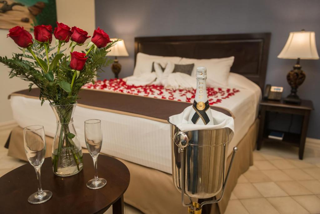 拉斯塔布拉斯Hotel Presidente Las Tablas的一间卧室配有一张玫瑰床和搅拌机