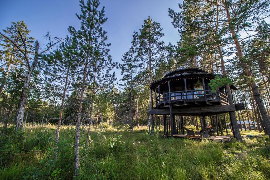 JõgisooSambliku Treehouse的森林中间的树屋