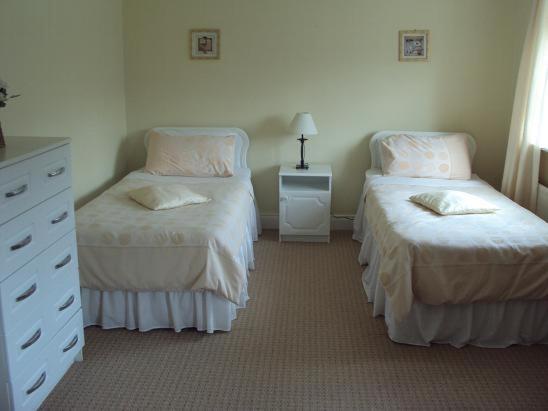 基拉尼瑞布鲁克楼旅馆的一间卧室配有两张单人床和一个梳妆台