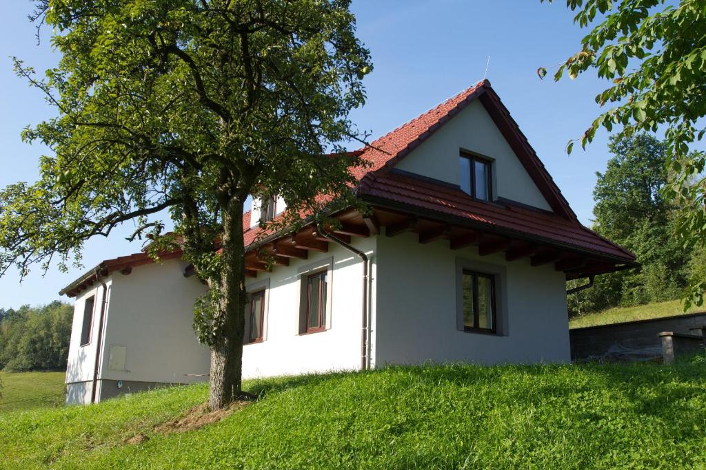 ZubříChalupa pod Hruškou的山坡上的小白色房子,有树
