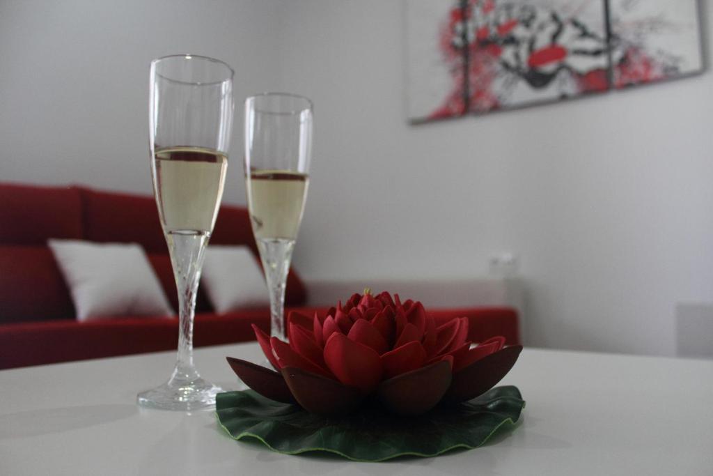 阿尔戈多纳莱斯Be Happy的两杯酒和一朵红花在桌子上