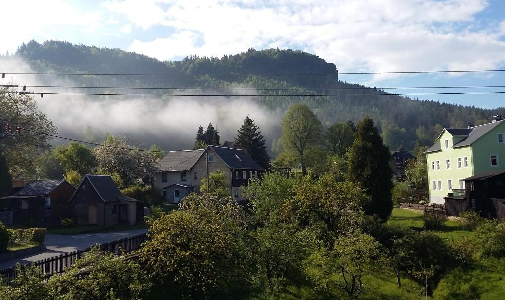 KleingießhübelFerienwohnung Bergblick的一座以雾 ⁇ 的山为背景的城镇