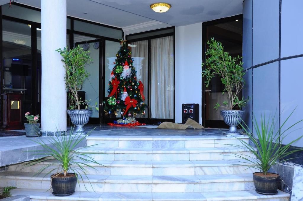 亚的斯亚贝巴北阿迪斯酒店的一座植有盆栽植物的建筑前的圣诞树